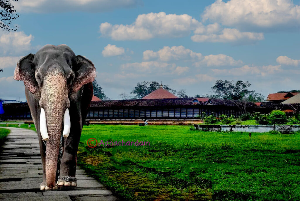 explore kerala with bookmytrip