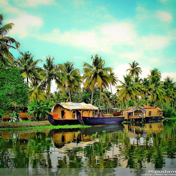 explore kerala with bookmytrip